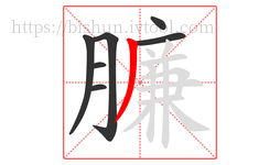 臁字的第7画:丿,撇