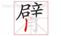 臂字的第14画:丨,竖