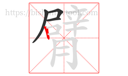 臂字的第4画:丨,竖