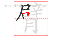 臂字的第5画:𠃍,横折