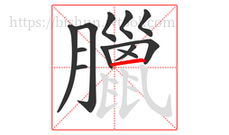 臘字的第12画:一,横