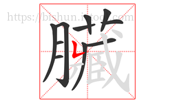 臟字的第11画:一,横