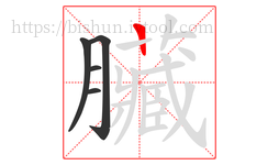 臟字的第5画:一,横