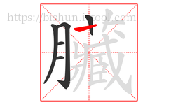 臟字的第6画:丨,竖