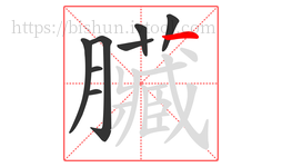 臟字的第8画:一,横