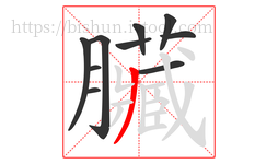 臟字的第10画:𠃊,竖折