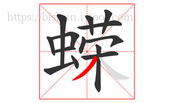 蝾字的第14画:丿,撇