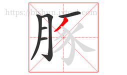 豚字的第6画:丿,撇