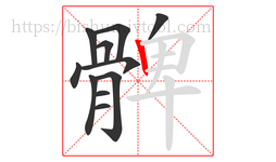 髀字的第11画:丨,竖