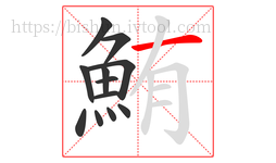 鮪字的第12画:一,横