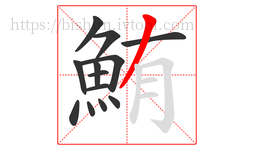 鮪字的第13画:丿,撇