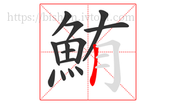 鮪字的第14画:丨,竖