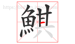 鯕字的第16画:一,横