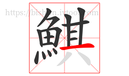 鯕字的第17画:一,横