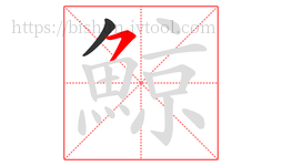 鯨字的第2画:㇇,横撇