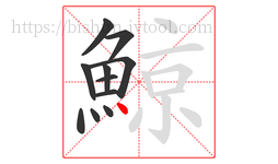 鯨字的第11画:丶,点