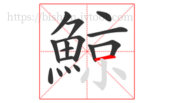 鯨字的第16画:一,横