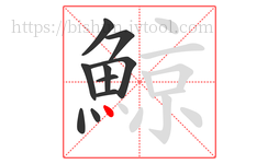 鯨字的第10画:丶,点