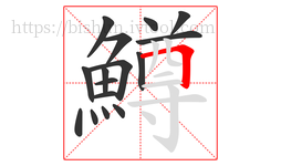 鱒字的第16画:𠃍,横折