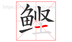 鲣字的第13画:一,横