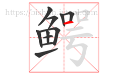 鳄字的第11画:一,横