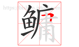 鳙字的第12画:𠃍,横折