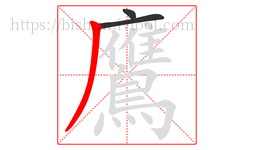 鷹字的第3画:丿,撇
