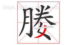 媵字的第12画:丿,撇