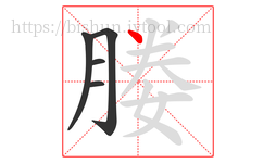 媵字的第5画:丶,点