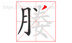 媵字的第6画:丿,撇