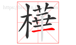 樺字的第14画:丨,竖