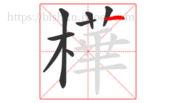 樺字的第8画:一,横