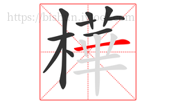 樺字的第10画:丨,竖