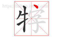 牸字的第5画:丶,点