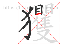 玃字的第8画:一,横